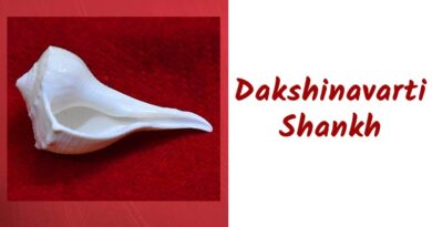 Dakshinavarti Shankh