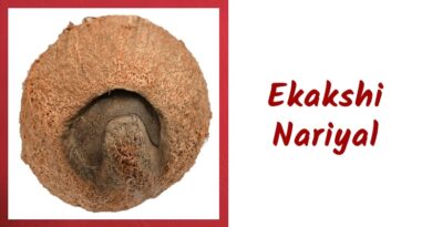 Ekakshi Nariyal
