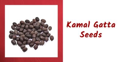 Kamal Gatta Seeds
