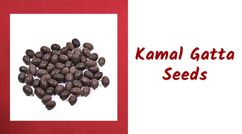 Kamal Gatta Seeds