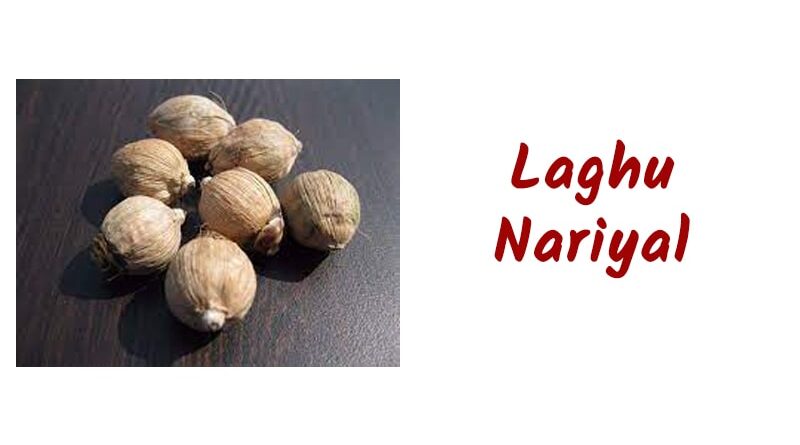 Laghu Nariyal or Sriphal