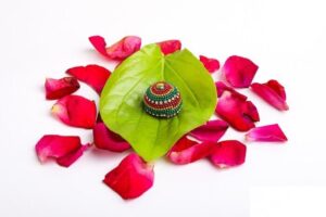 decorative-betel-nuts-product